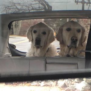 Meet your Posher, Leslie